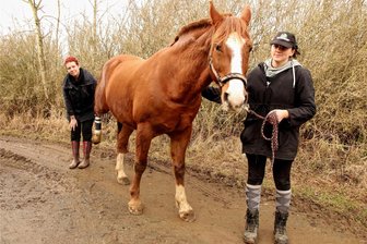 Angriff auf Pferd der Organisatorin der Vogtland-Bauernproteste: Polizei vermutet keinen politischen Hintergrund - Tanja Turki (rechts) mit dem Pferd von Fritzi Held (links). Das Tier war bei dem Angriff lebensgefährlich verletzt worden.