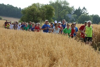 Anmeldung für Städtelauf Plauen-Hof noch möglich - Beim Städtelauf geht es durch Wald und Flur.