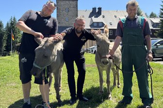 Anna und Elsa: Eine besondere Rückkehr im Erzgebirge - Bergwirt Dennis Feist mit Bruder Enno (l.) und Onkel Eckhard (r.), der die Esel besorgt hat.