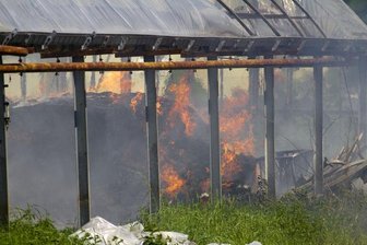 u einem Brand in einem Gewächshaus in Annaberg-Buchholz sind am Donnerstag 30 Feuerwehrleute ausgerückt.