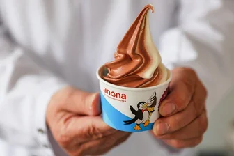 Anona: Vom Softeismacher zum Fitnessriegel-Marktführer - Mit Softeispulver ist Anona bekannt geworden.