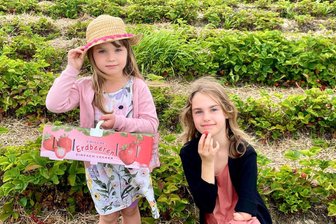Ansturm auf die Erdbeerfelder im Erzgebirge - Schon die Kleinsten hat das Pflückfieber gepackt: Pauline (links) und Schwester Lotte Beck im Erdbeerfeld in Niederwürschnitz. Manch eine Erdbeere landete da auch schon einmal im Mund und nicht im Körbchen.