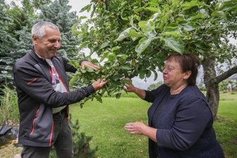 Ansturm auf Gärten in der Region - Annelie und Rainer Goldammer haben ihren Obst- und Gemüsegarten im Burgstädter Ortsteil Herrenhaide vorgestellt, wo unter anderem ein 80 Jahre alter Apfelbaum der Sorte Renette steht.