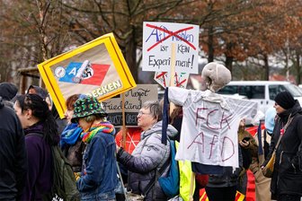 Anti-AfD-Demo in Glauchau: Wovor die Leute Angst haben - Klare Botschaften fehlten nicht bei der Demonstration in Glauchau aus Anlass des AfD-Parteitages.