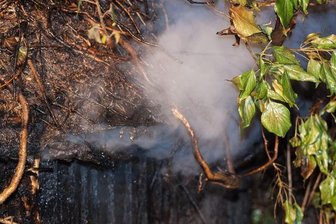 Antonshöhe: Feuer in Vogelvoliere - 