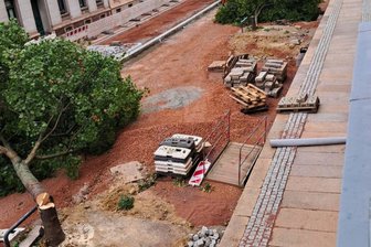 Anwohner in Chemnitz empört: Stadt fällt acht Ahornbäume - An der Lohrstraße wurden Ahornbäume gefällt. Für die Anwohner waren sie Lebensqualität.