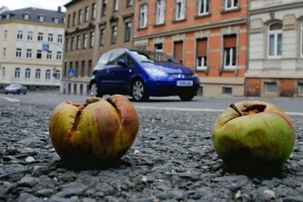 Apfelbaum an der Reichenbacher Friedensschule sorgt für Denkanstöße - Der Apfelbaum im Hof der Reichenbacher Friedensschule lässt von Krankheiten gezeichnete oder von Tieren angefressene Früchte auch auf die benachbarte Rathenaustraße fallen.
