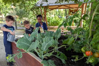 Apfelbaum, Dinowald und Matschstrecke: Kindergarten im Erzgebirge feiert Jubiläum - Die Beete der Kita Spatzennest werden von den Kindern gegossen und gepflegt.