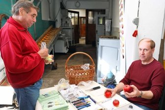 Apfelexperte in der Saftkelterei Mehlhorn: Gärtner suchten nach Antworten - Pomologe Kai Geringswald (rechts) hatte nicht nur die Äpfel von Wolfgang Künzel auf seinem Prüfstand.