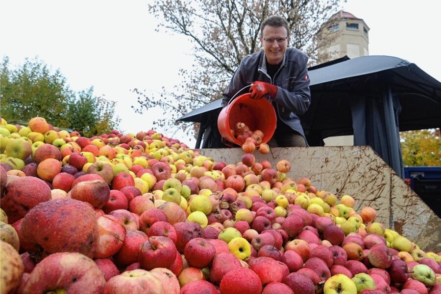 Apfelsaison geht bei Rebesgrüner Annahmestelle ins Finale - Laut Juniorchef Dominik Ackermann wurden 50.000 Liter klarer und trüber Apfeldirektsaft gepresst. 