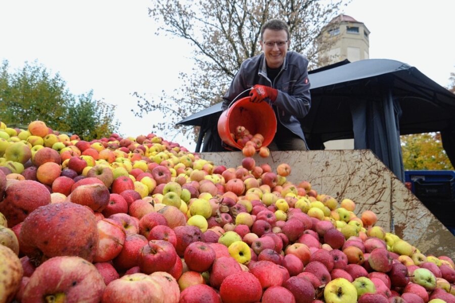 Apfelsaison geht ins Finale - Mit bisher rund 70 Tonnen abgegebenen Äpfeln gehe ein mittelmäßiges Obstjahr zu Ende, sagt Juniorchef Dominik Ackermann. 50.000 Liter klarer und trüber Apfeldirektsaft werden in dieser Saison gepresst.
