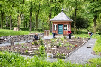 Apothekergarten im Plauener Arboretum wächst und gedeiht - Katrin Herzog, Gabi Beuschel, Martina Ballhause, Uta Zorn und Christine Limberg (von links) waren jetzt vor Ort, um im Apothekergarten zu pflanzen und zu säen.