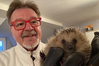 Appell eines Reichenbacher Igel-Freunds: Leute, macht eure Gärten nicht zu Tatorten - Werner Heidemann und Lord Voldemort - der von Kindern nach der Harry-Potter-Figur getaufte Igel muss noch 100 Gramm zulegen, um endlich schlafen zu können. Im Frühjahr geht‘s für Voldemort dann zum Auswildern zurück zum Fundort.