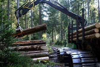 Arbeit auf breiten Ketten: Damit das Moor bei Grünheide größer wird - Am Beerheider Waldgebiet am Vogtlandsee „Hochmoor am Roten Fluß“ finden umfangreiche Waldarbeiten statt. Foto: Joachim Thoß