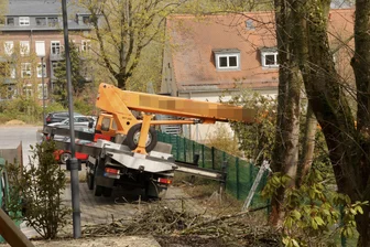 Arbeitsunfall in Chemnitz: Hebebühne kippt bei Baumpflege zur Seite - Der Unfall geschah am Dienstagvormittag im Stadtteil Kappel.