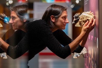 Archäologische Zeitreise zu „Planet Africa“ in Chemnitz - Projektleiterin Christina Michel vom SMAC schaut in die Augenhöhlen des Australopithecus africanus und damit weit in die afrikanische Vergangenheit zurück.