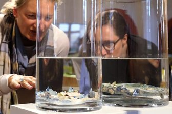 Art figura zeigt Faszination der Distanz - Laura Selenz aus Köln (r.) und Martina Leicher (aus Bonn) machen derzeit Urlaub im Erzgebirge und diskutierten angeregt und fasziniert über die reizvollen Distanzen, die von der "Fata Morgana - distance breaker" ausgehen.