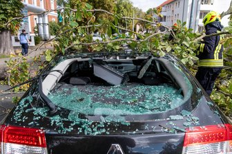 Ast einer mächtigen Kastanie kracht auf zwei Autos in Zwickau - Auch bei diesem Unfall in Rochlitz war ein Ast einer Kastanie auf ein Auto gekracht.