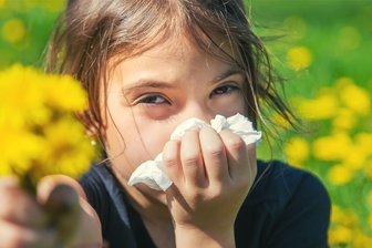 Asthma bei Kindern: Ärzte fordern Kostenübernahme für einfachen Screeningtest - Kribbelt es in Nase und Rachen? Brennen die Augen? Rund jedes fünfte Kind bekommt eine allergische Erkrankung.