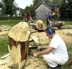Atelierbesucher sind willkommen - 
              <p class="artikelinhalt">Fünf Holzbildhauer sind seit Dienstag im Tiergarten Falkenstein in Aktion. Auch Dietmar Röderbeck aus Neustadt (vorn) gehört dazu.</p>
            