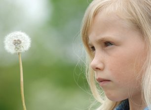 Atemnot bei Kindern: Wenn die Luft knapp wird - Schön, aber unter Umständen gefährlich: Auch eine Pollenallergie kann Asthma auslösen.