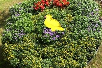 Attraktion: Blühendes Stadtwappen zurück - Das Hainichener Stadtwappen wurde neu bepflanzt.