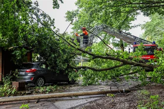 Aue-Bad Schlema: Baum bricht ab und stürzt auf Carport - Der abgebrochene Baum begrub einen Carport und einen Pkw unter sich. Die Feuerwehr zerlegte ihn.