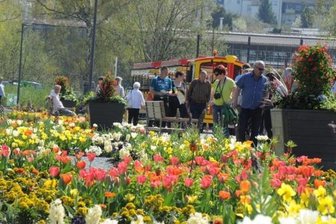 Aue-Bad Schlema bewirbt sich für Landesgartenschau - 2019 fand die Landesgartenschau in Frankenberg statt. Aue-Bad Schlema bewirbt sich für die Schau in fünf Jahren.