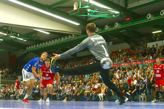 Aue verliert Heimspiel gegen Bietigheim -