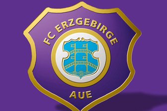 Aue verliert Testspiel in Auerbach -
