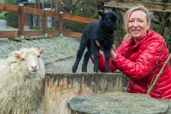 Auer Zoo der Minis: Mini-Schaf heißt so wie die Zoochefin -
