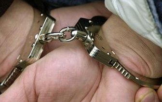 Auerbach: Beamte nehmen polizeibekannten Einbrecher fest -