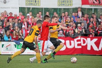 Auerbach knöpft Zwickau einen Punkt ab -