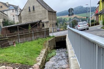 Auerbach will Dorfbach dringend säubern - Der Dorfbach in Auerbach soll gesäubert werden.