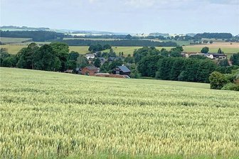 Auf Ackerflächen: 14 Hektar großer Fotovoltaik-Park südlich von Tirschendorf geplant - Auf Nordhang-Flächen südlich von Tirschendorf plant die Firma Innovar Solar aus Meppen einen Fotovoltaikpark. Die Pläne beschäftigen am Donnerstag auch den Gemeinderat Mühlental in öffentlicher Sitzung.