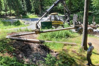 Auf dem Holzerlebnisweg durchs Tal der Roten Göltzsch: Wie Sachsenforst das Revier um den Stauweiher Ellefeld erschließt - Sieht nach Forstarbeiten aus, sind aber keine: An der Doppelbrücke werden Baumstämme abgeladen, die für Bauarbeiten am neuen Holzerlebnisweg zwischen Ellefeld und Beerheide bestimmt sind.