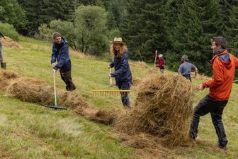 Auf den Bergwiesen des Fichtelbergs ist Muskelkraft gefragt - Zwei Wochen Heuernte an den Hängen des Fichtelbergs - da ist vor allem Muskelkraft gefragt.