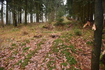 Auf den Spuren der verschwundenen Schanze von Oederan - Allein am Geländeprofil der auslaufenden Waldstraße samt Borntalweg lässt sich erahnen, dass hier die Oederaner Schanze stand.