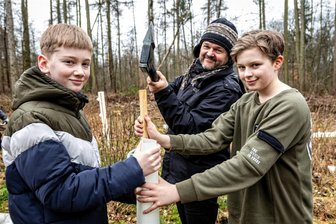 Auf den Weg gebracht – Burgstädter Schüler pflanzen im Rahmen eines Umweltprojektes Baumsetzlinge im Stadtwald - Anton Mellenthin, Klassenlehrer Sven Lippmann und Niklas Monse (v. l.) von der Klasse 7b des Burgstädter Gymnasiums pflanzen einen Flatterulmen-Setzling im Herrenhaider Stadtwald.