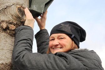 Auf der Spur der Fledermaus des Jahres: Das Große Mausohr lebt im Vogtland sehr heimlich - Sonja Fischer ist die Fledermausexpertin des Vogtlandes.