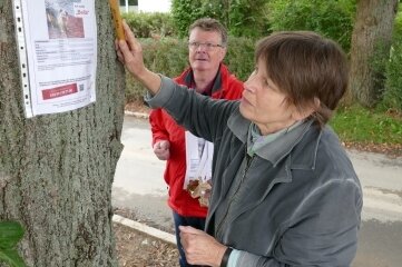 Auf der Suche nach Bella - An einem Baum bringt Kristine Tannenhauer einen von über 100 Steckbriefen an. Unterstützt wird sie bei ihrer Suchaktion von Peter Heimlich und vier weiteren Helfern. 
