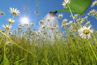 Auf der Suche nach dem inneren Garten: „Evas Abend“ für Frauen in Freiberg - Gießen und genießen ist wichtig - nicht nur im Garten.