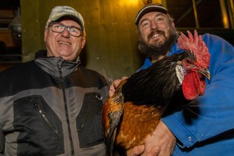 Auf diesem Weihnachtsmarkt im Vogtland kräht der Hahn - Wie viele Kilogramm bringt der Hahn der Rasse Vorwerk von Züchter Marcus Seumel (rechts) auf die Waage? Frank Petzold (links) hat mitgeholfen, den Schätzwettbewerb für den Weihnachtsmarkt Schreiersgrün zu organisieren.