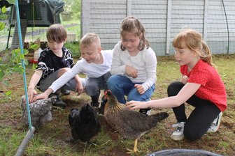Auf einem Schulhof im Erzgebirge gackert es wieder: Hühnerprojekt setzt sich durch - Xaver, Maddox, Hanna und Holly freuen sich, dass es wieder Hühner auf dem Schulhof gibt.