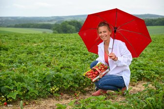 „Auf Erdbeerfeldern wird geklaut, randaliert und gemeckert“: Bianca Scholz verlässt Lichtenau - Bianca Scholz zum Erdbeersaisonstart. Jetzt wurde die Saison beendet - für immer.
