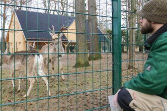 Auf in den Tierpark und ins Wildgatter -