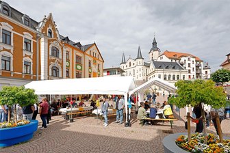 Auf Tuchfühlung mit den Stadtratskandidaten in Meerane: So ist das Polit-Speed-Dating gelaufen - Das Ambiente am Teichplatz in Meerane passte, doch der Zulauf blieb überschaubar.