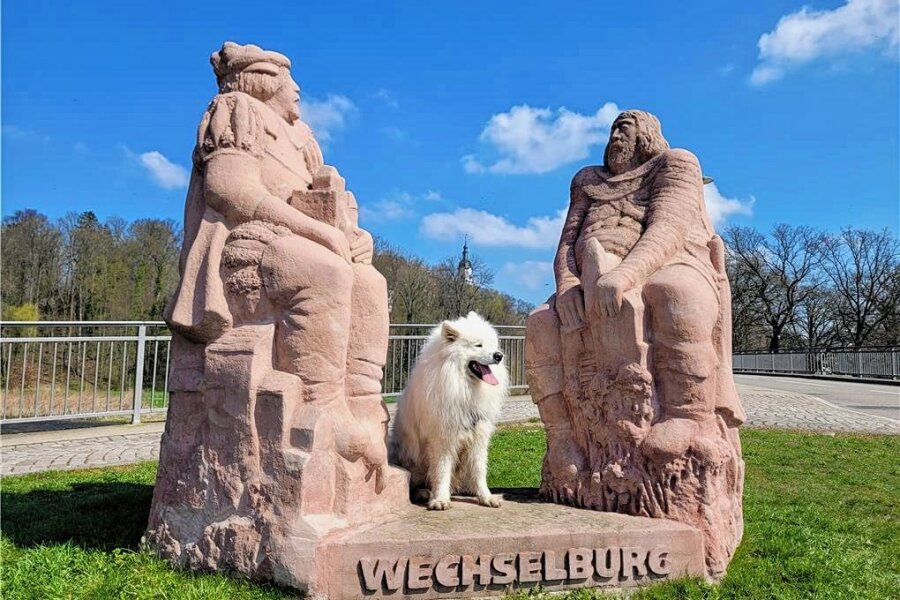 Auf vier Pfoten in Wechselburg unterwegs - Hund Teddy erkundet einen Ort für Liebhaber von Geschichte, Architektur und Natur - Ein Hund entdeckt Wechselburg. Er hat sich die kleine Gemeinde und deren Umgebung ein bisschen angeschaut und hat so einiges zu erzählen. 