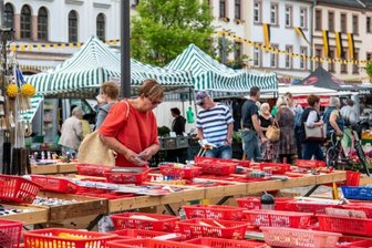 Aufbau für Fürstentag läuft - 