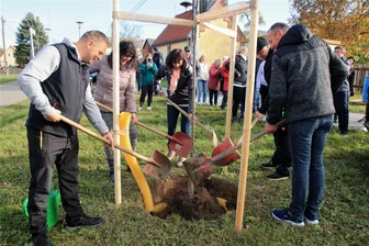 Aufbruchsstimmung in Reimersgrün: Neuer Verein pflanzt neue Linde - Der Vorstand der Reimersgrüner Dorf AG pflanzte eine Linde.